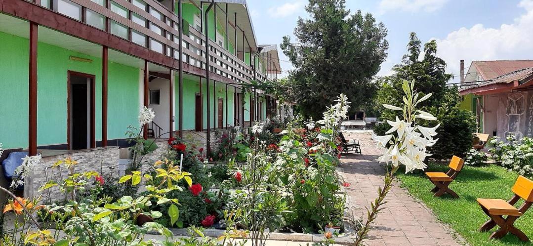 فندق Casa Bucuria كوستِنيست المظهر الخارجي الصورة